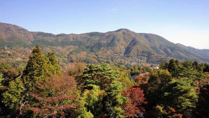 ＜2024年1月OPEN＞ 綾館　シンプルステイ　素泊まりプラン